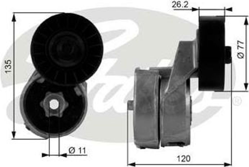 GATES T38443 Spannrolle, Keilrippenriemen OE 6992642 kompatibel mit Transit
