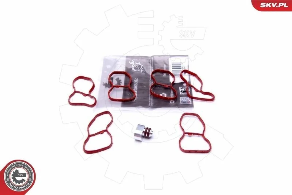 Réparer le module d'aspiration BMW 3 Touring E91 avec le kit 49SKV516 SKV