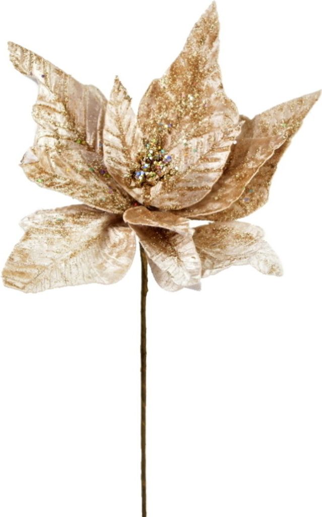 Weihnachtsstern schimmernd - champagner