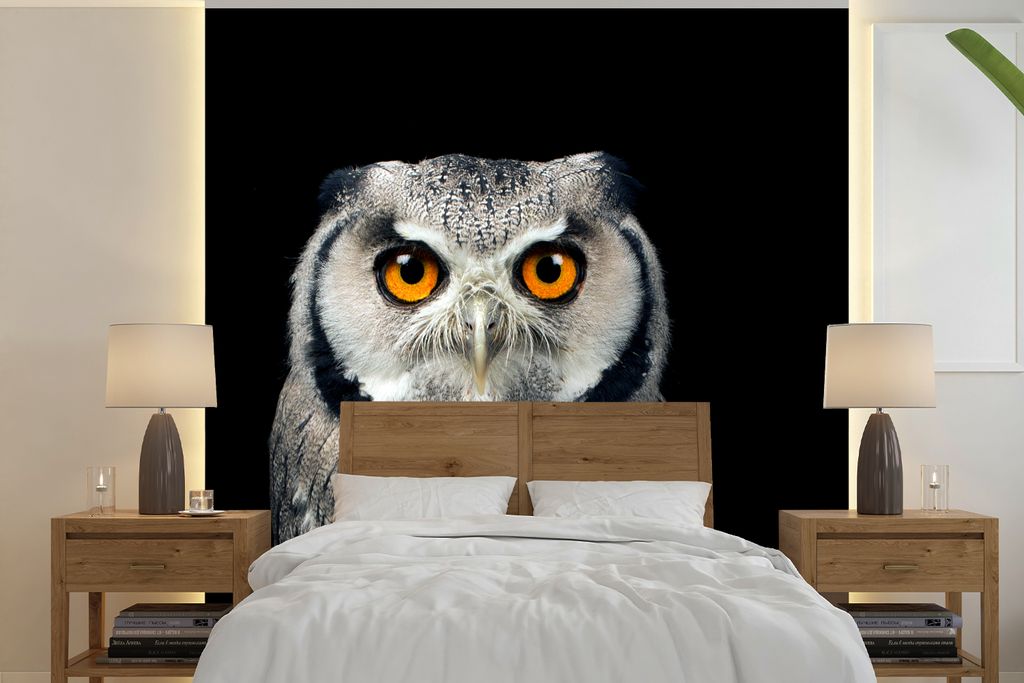 MuchoWow Fototapete für Wohnzimmer oder Schlafzimmer Wandtapete Vinyl Motivtapete Eule - Vogel - Orange - Schwarz - 300x300 cm - Wanddekoration