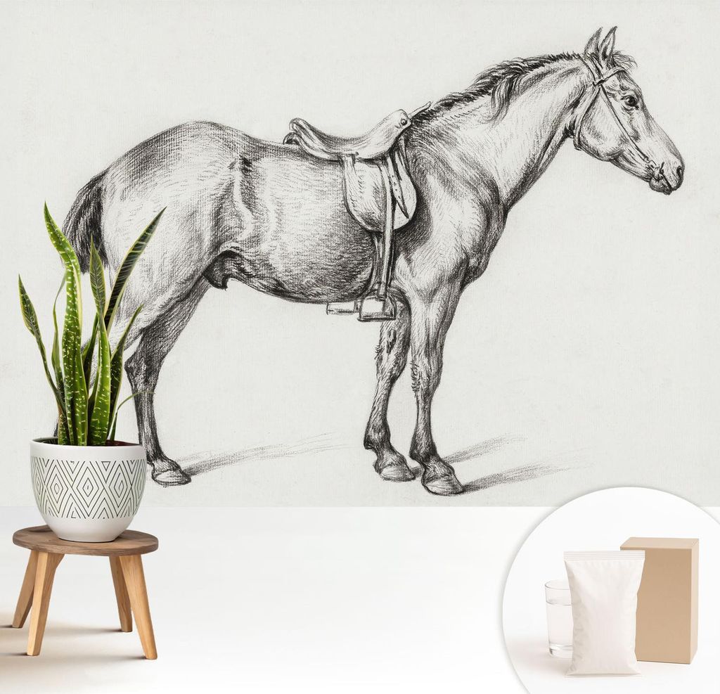 Fototapete - 208x146 cm - Tapete - Wandtapete - Wandbilder - Dekofolie - Tapete Folie - Wand - Dekoration - Wohnzimmer - Skizze eines Pferdes
