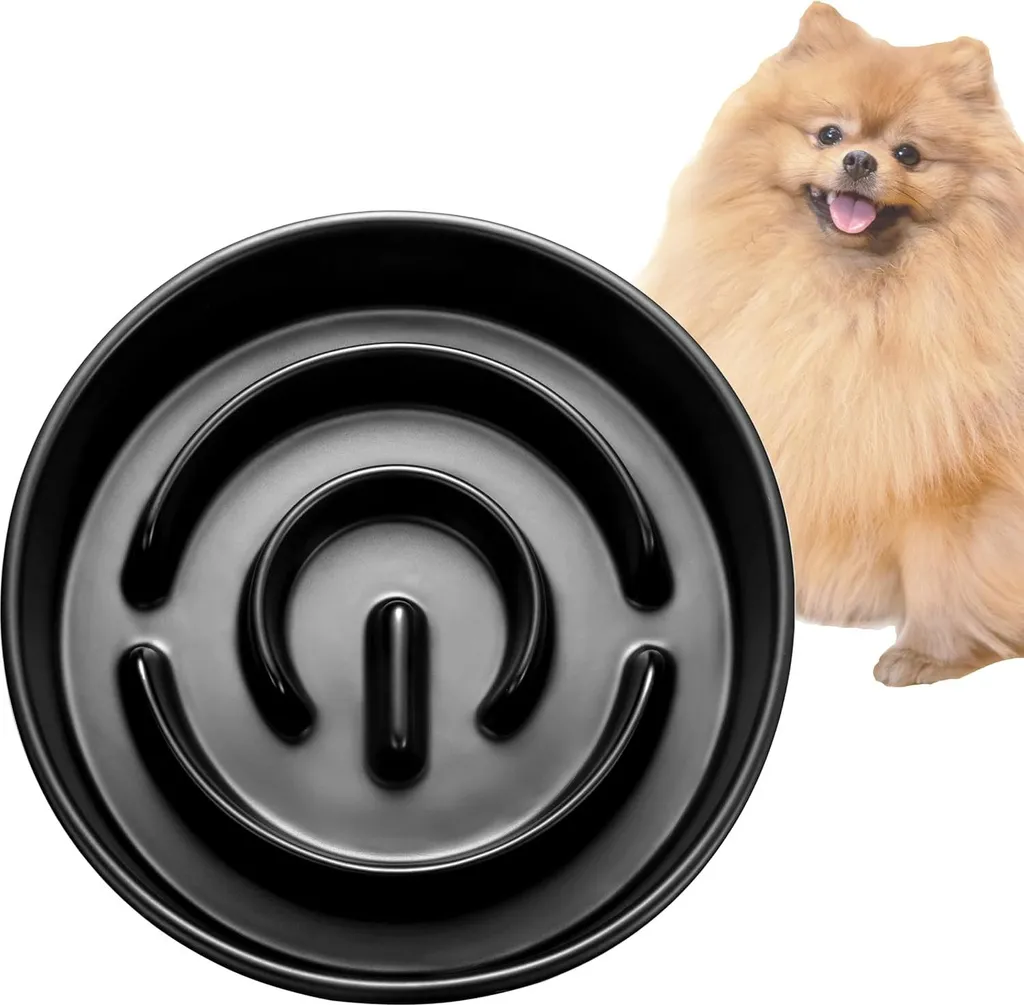Gamelle pour chien qui mange trop vite - Modèle 400 ml pour petit chien