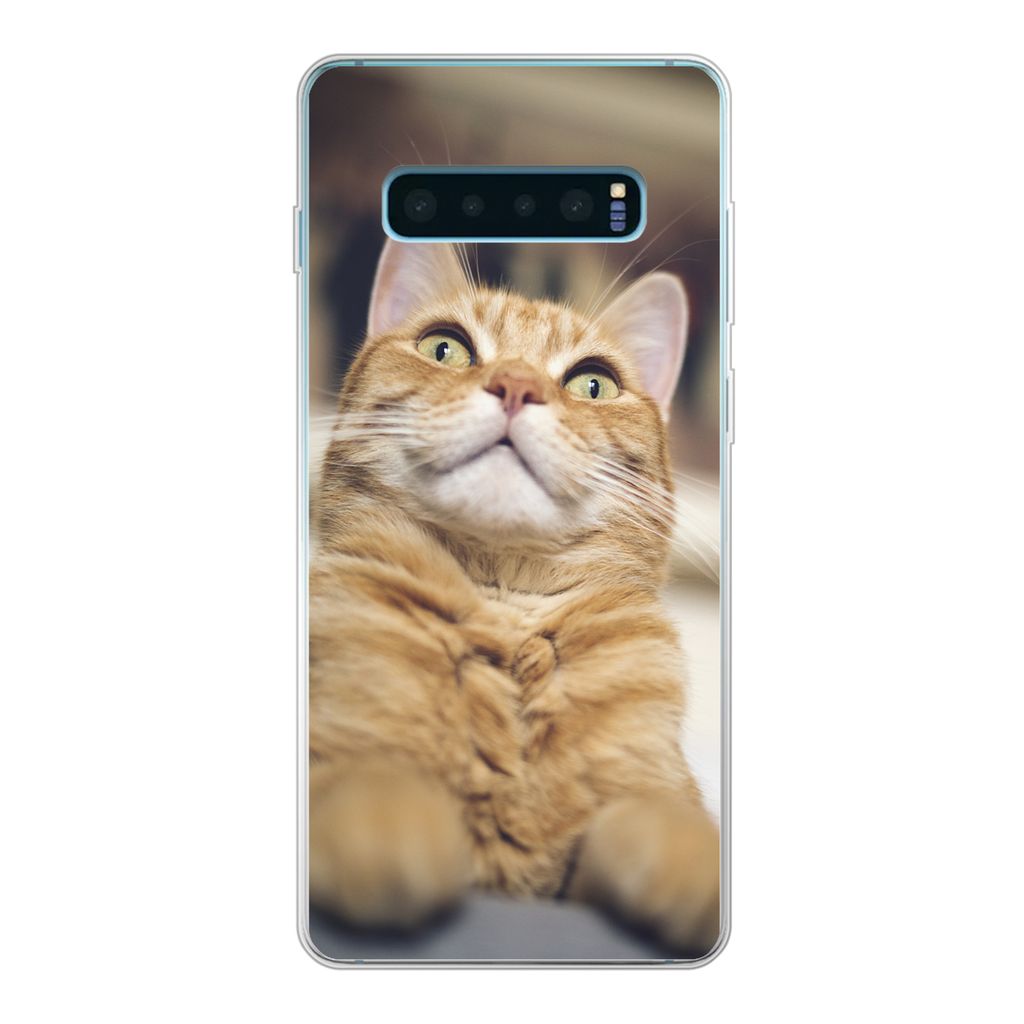 MuchoWow Handyhülle Schutzhülle Hülle für Samsung Galaxy S10 Lite Katze - Bank - Orange Silikon Softcase Handy Hülle - Schutz