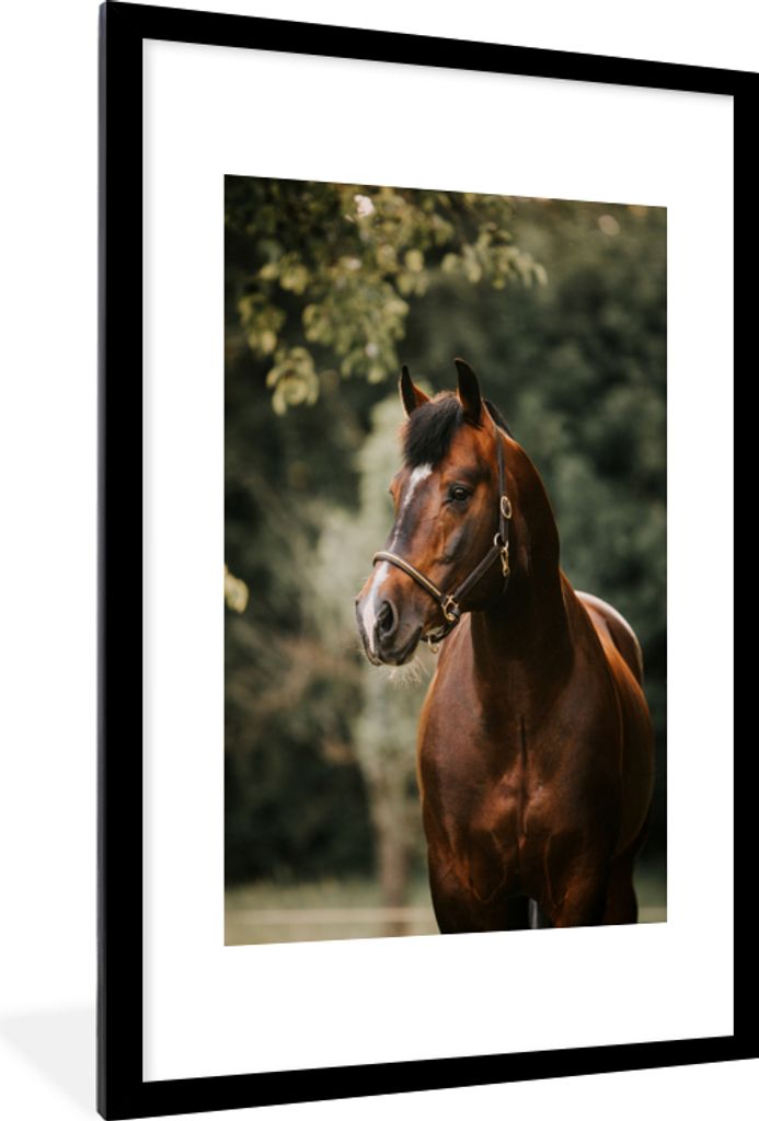 MuchoWow MuchoWow Gerahmtes Poster Pferd - Äste - Porträt 60x90 cm - Poster mit zchwarzem Bilderrahmen - Dekoration - Wandposter Wohnzimmer -...