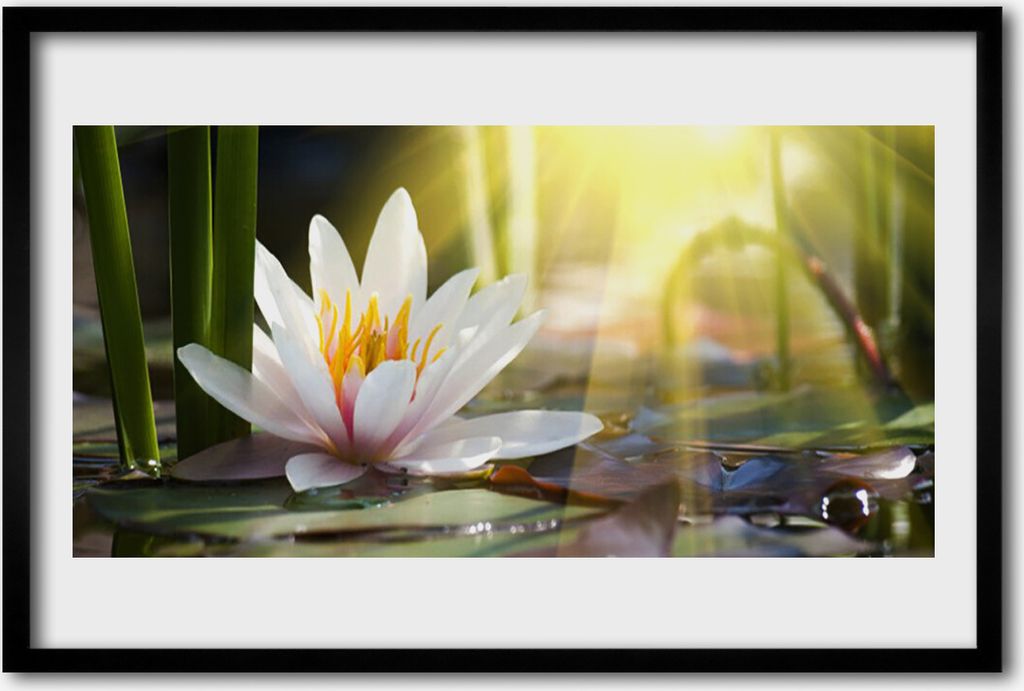 Bild 60x40 MDF-Rahmen Wandkunst Sun Water Lily Pond Produktbild 