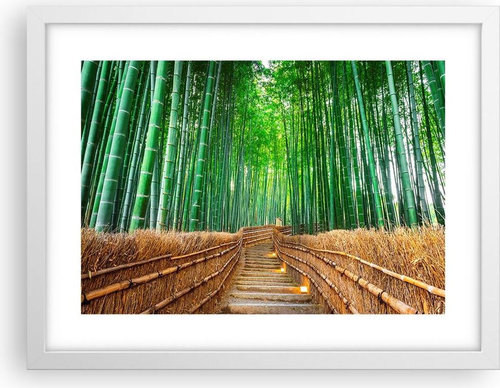 Gerahmtes Poster - Weißer Rahmen - Bambus Pflanze - 40x30 cm - Wand Bild - Wanddeko - Wandbilder - Kunstposter - Wandposter - Bilderrahmen - Bilde...