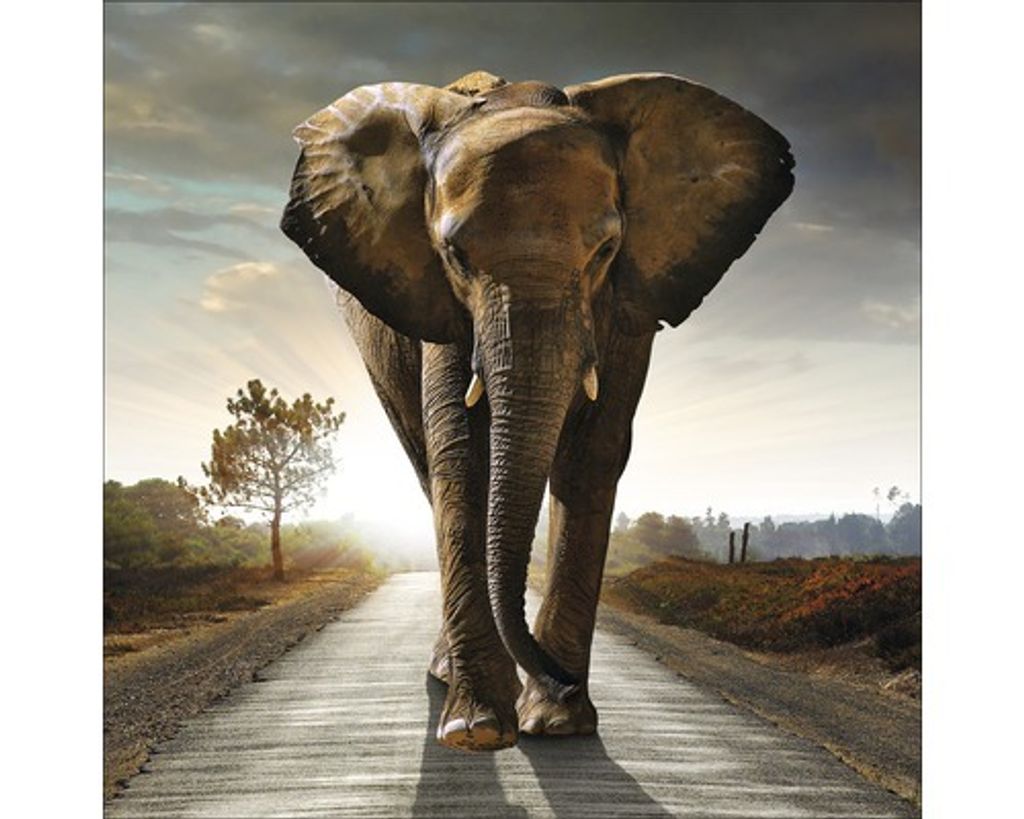 Glasbild Elephant 20x20 cm Goldfarben quadratisch Modern, geringes Gewicht