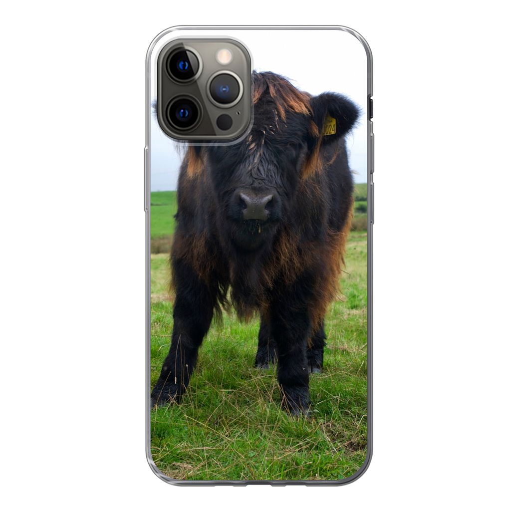 MuchoWow Handyhülle Schutzhülle Hülle für iPhone 13 Pro Schottische Highlander - Kühe - Natur - Grün - Gras Silikon Softcase Handy Hülle -...
