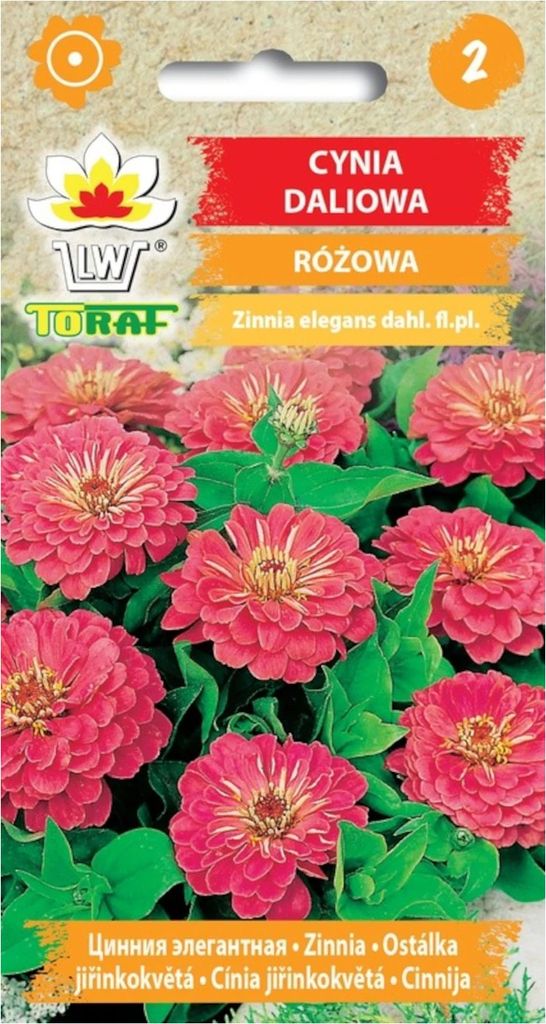 Cynia daliowa RÓŻOWA 1g Zdjęcie produktu 