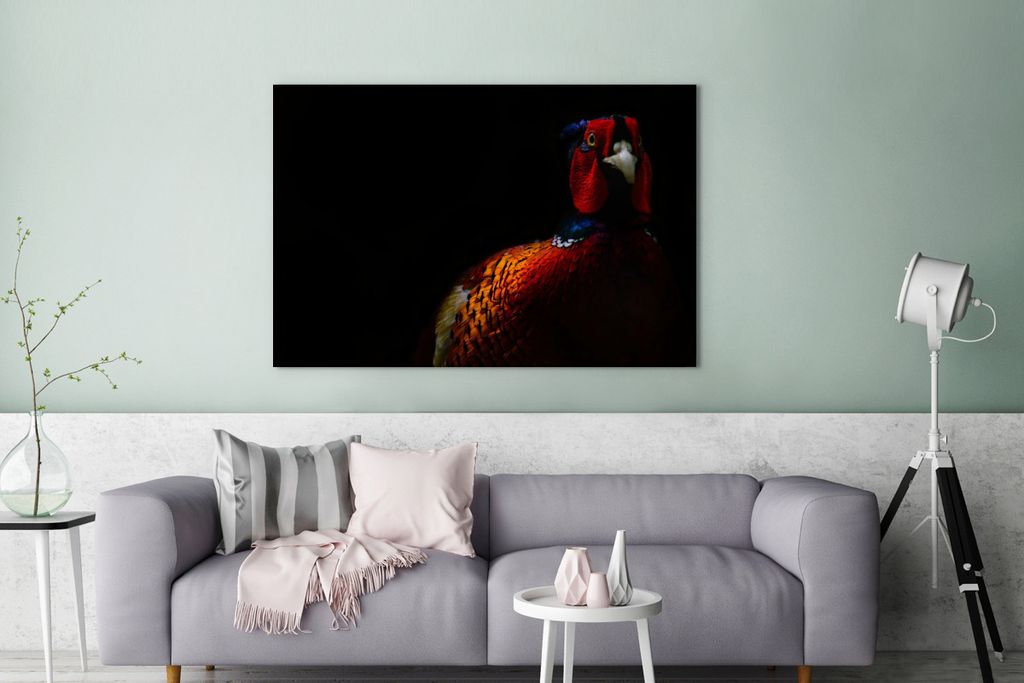 OneMillionCanvasses - Leinwandbilder - 140x90 cm, Fasan - Schwarz - Vogel, Wandbilder Kunstdruck Wanddekoration - Foto auf Leinwand - Gemälde au...
