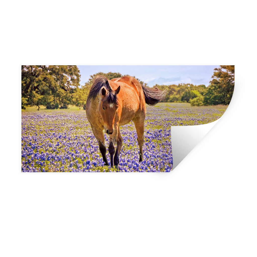 MuchoWow Wandtattoo Wandsticker Wandaufkleber Pferd - Blumen - Bauernhoftier - Lila 40x20 cm Selbstklebend und Repositionierbar - Aufkleber