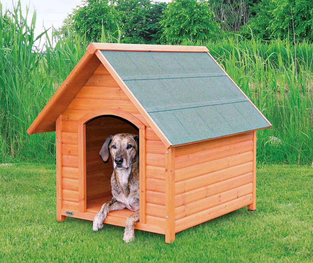 Hundehütte mit Satteldach Hundehütte Massiv Holz mit Satteldach | Hundekrone.de Hundeshop, Größe:XL. 96 × 105 × 112 cm. Golden Retriever