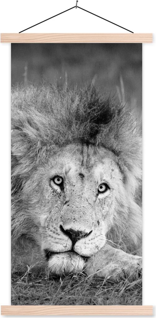 MuchoWow Textilposter Löwe - Schwarz - Tiere 60x120 cm mit holzfarbenen Rahmen - Holz