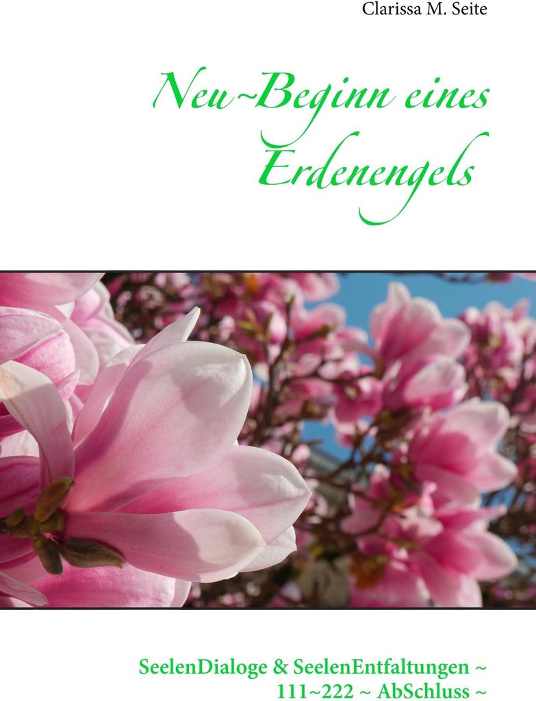 NeuBeginn eines Erdenengels