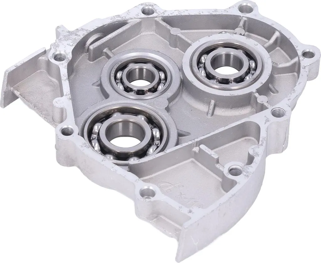 Gruppo Carter Trasmissione GY6 150cc - 157QMJ 4 Tempi - Cuscinetti + Paraolio