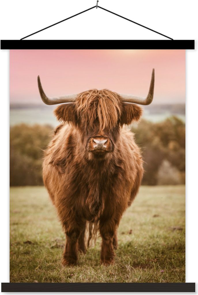 MuchoWow Textilposter Schottisches Hochlandrind - Kuh - Horizont 60x80 cm mit schwarzem Rahmen - Plakathalter
