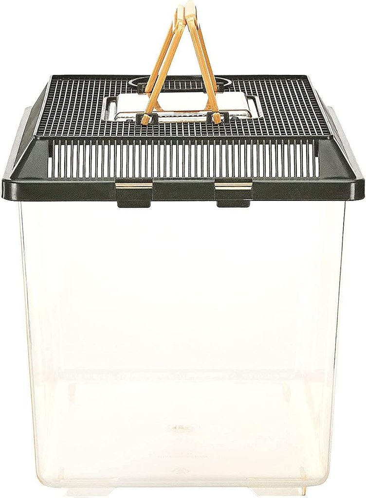 Bac de transport Faunarium Exo Terra 30 x 19,5 x 20,5 cm Image du produit 