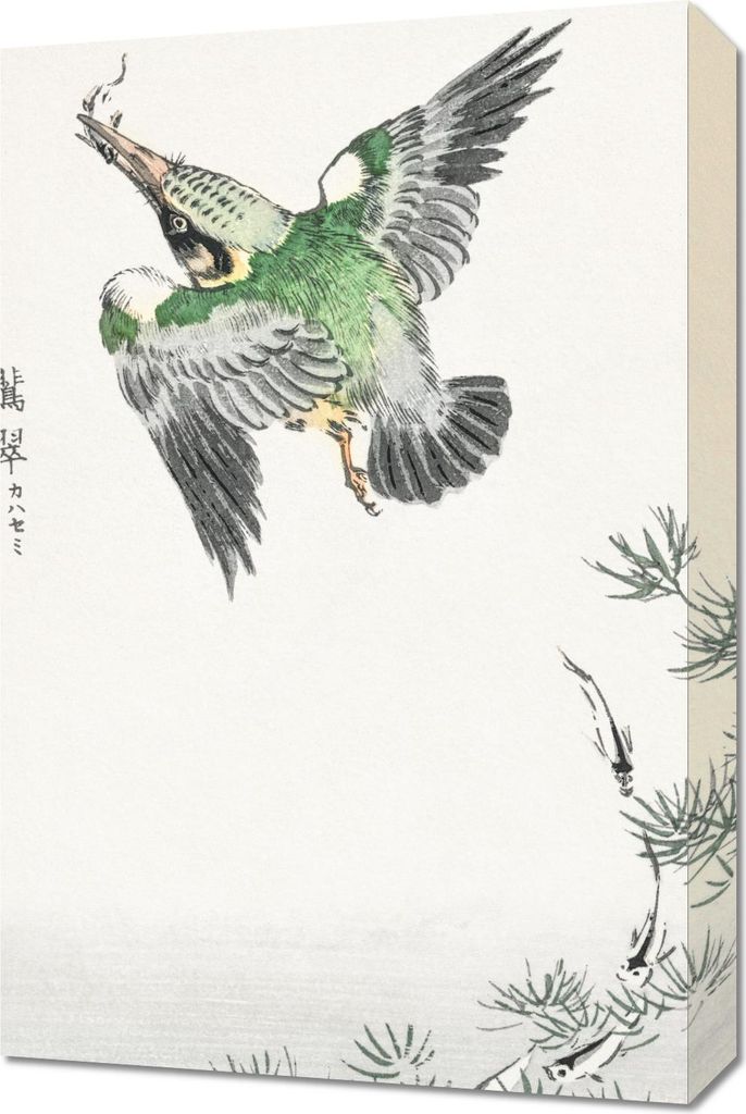 Bild 40x60cm Gemeiner Eisvogel, Japanische Kashu Vintage