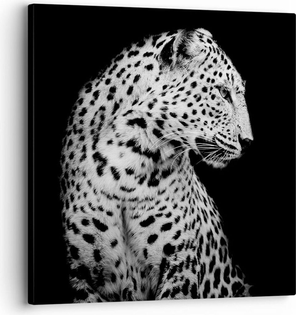 Bild auf Leinwand - Leinwandbild - Einteilig - Leopard Panther Katze - 30x30cm - Wand Bild - Wanddeko - Wandbilder - Leinwanddruck - Bilder - Wandd...