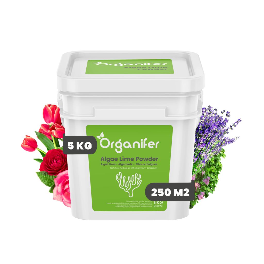 Prášek z mořských řas – Čistý Lithothamnium Calcareum (5 kg Obrázek produktu 