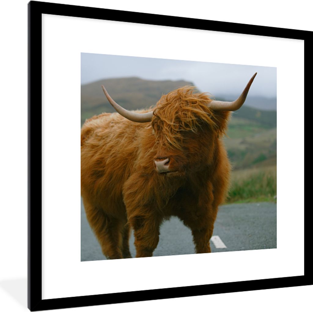 MuchoWow Gerahmtes Poster Schottischer Highlander - Berg - Straße 40x40 cm - Poster mit Schwarzem Bilderrahmen Wandposter Rahmen Foto Bilder - P...