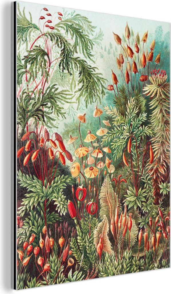 MuchoWow Wanddekoration Metall Metallbild Wandkunst 30x40 cm Blumen - Kunst - Vintage - Natur - Botanisch MuchoWow Aluminium Gemälde - Bilder