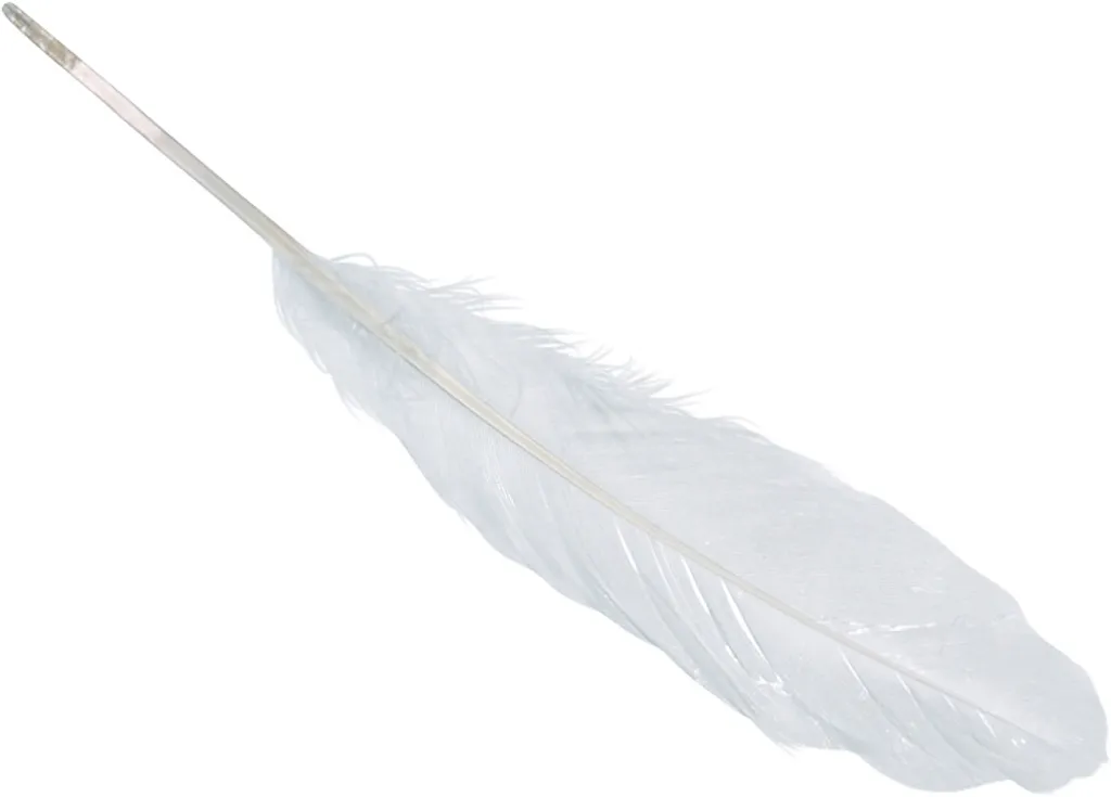 Plumes de d'oie Knorr Prandell 216620000 blanches 16-21cm lot de 5