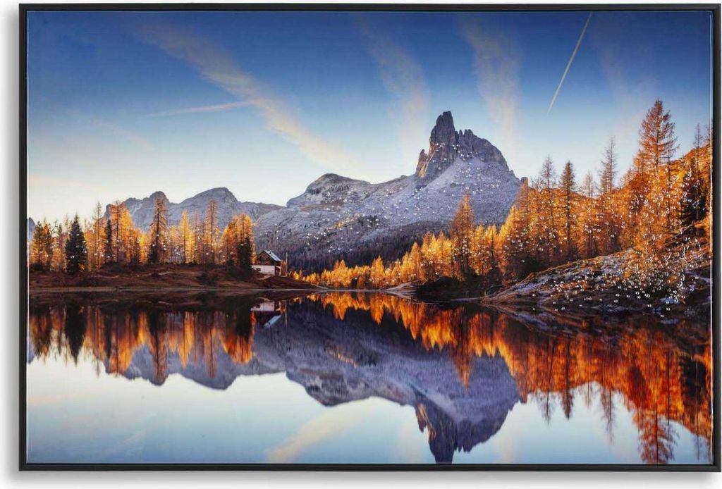 Wandbild Cornice 60 x 90 x 4 cm Metall Pinie Canvas Mehrfarbig;