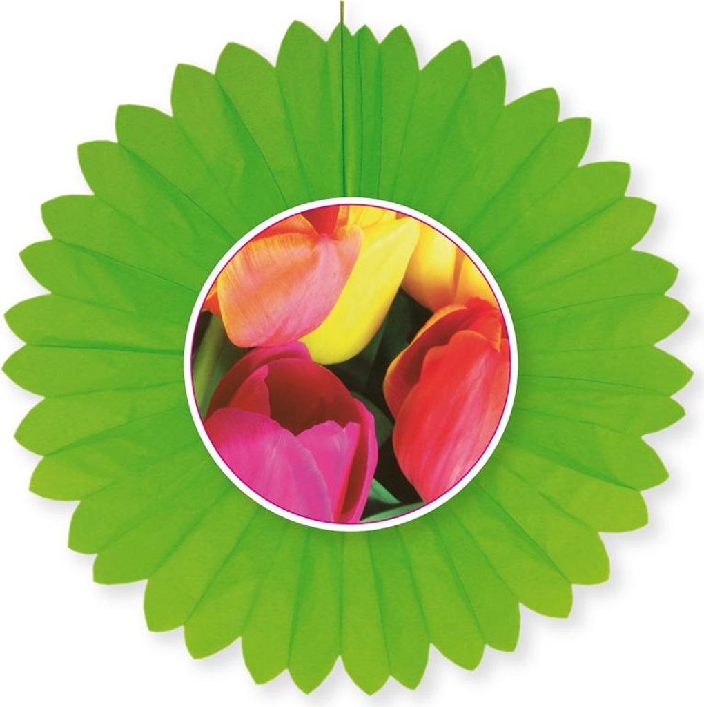 Dekofächer grün mit Tulpen 60 cm