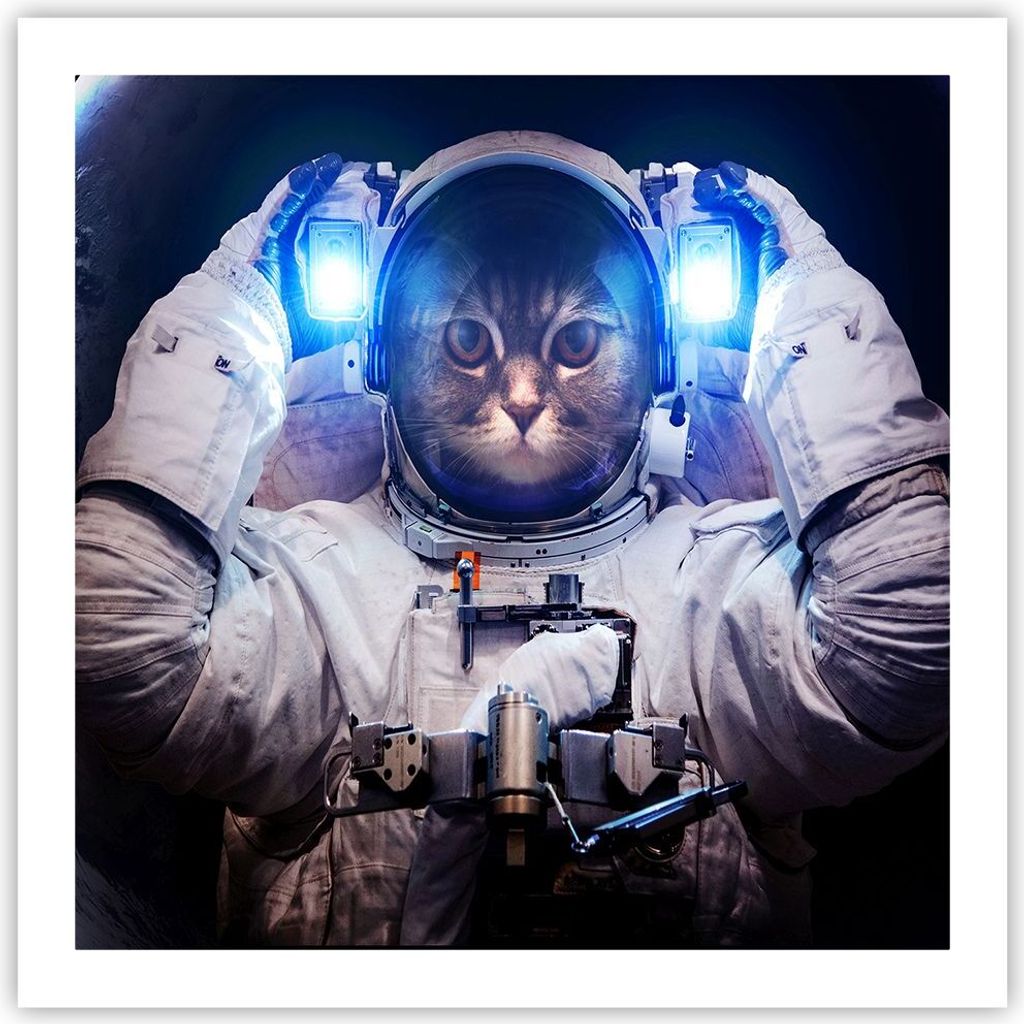 Poster - Poster ohne Rahmen - Kosmonaut Katze - 60x60 cm - Wand Bild - Wanddeko - Wandbilder - Kunstposter - Wandposter - Bilder - Kunstdruck - Wan...