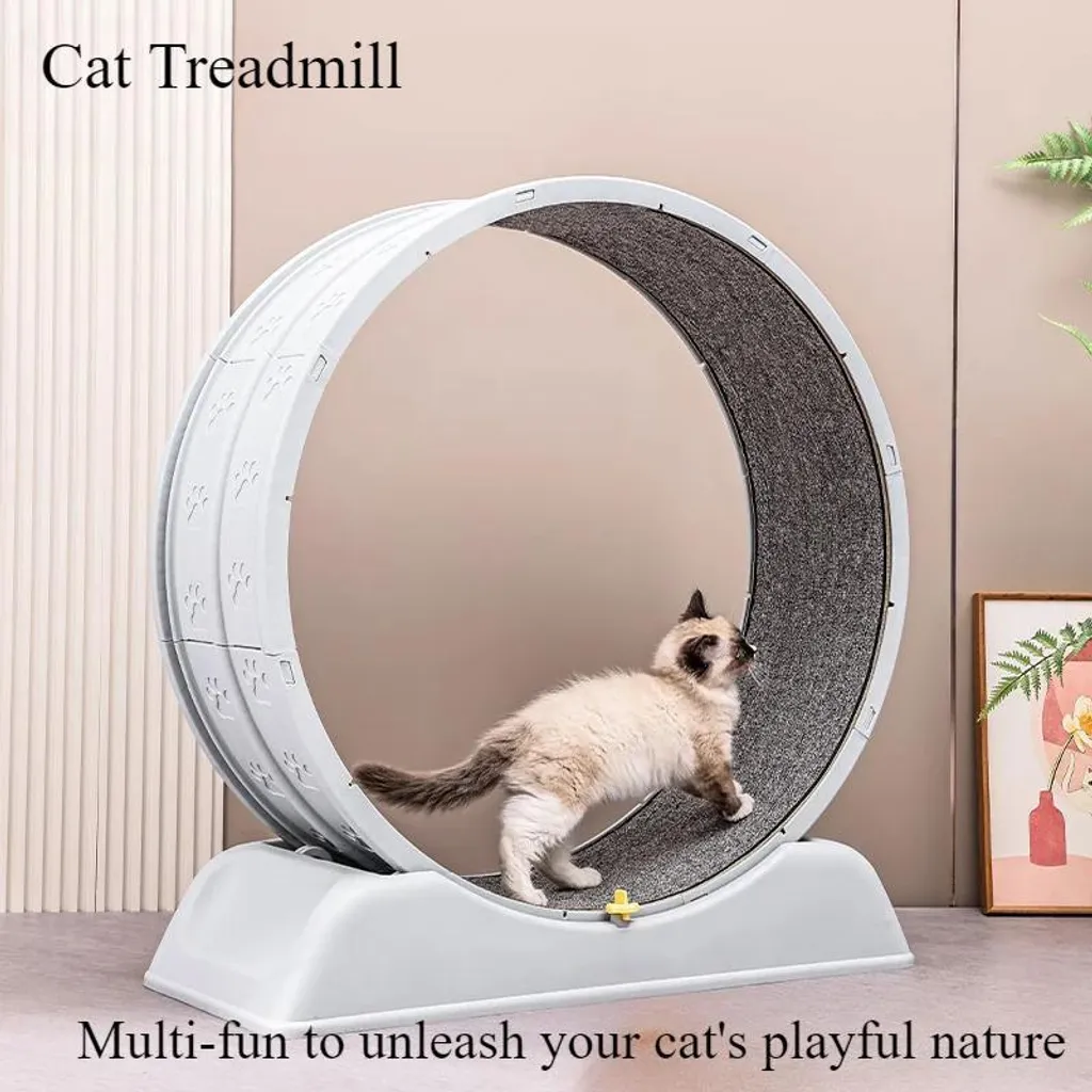 Ruota per Gatti Grigia Minimal 76cm | Accessorio Fitness Design Silenzioso - 4