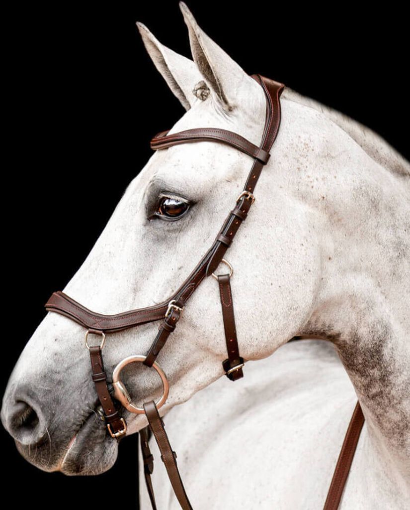 Horseware Ireland Trense Micklem 2 Competition Bridle Produktbild