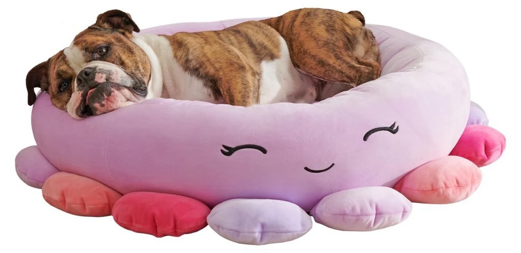 Squishmallows JPT0088 - Posteľ pre domáce zvieratá Beula, Obrázok produktu 