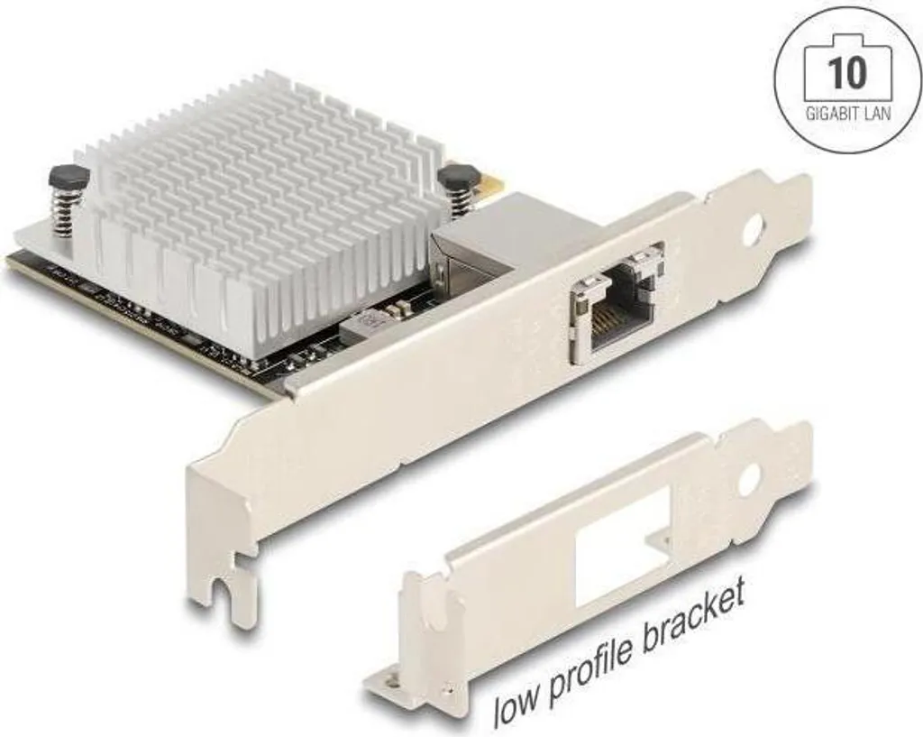 Scheda di Rete 10G Delock 90758 PCIe x4 AQC107S | LAN RJ45 Professionale