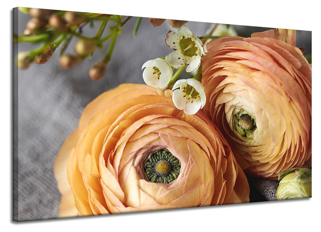 Leinwanddruck Botanik Blumen 120x70 cm