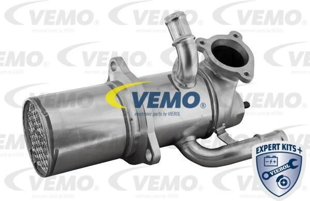 Réparer fuite EGR et perte puissance sur Beetle et Scirocco 04L131501B