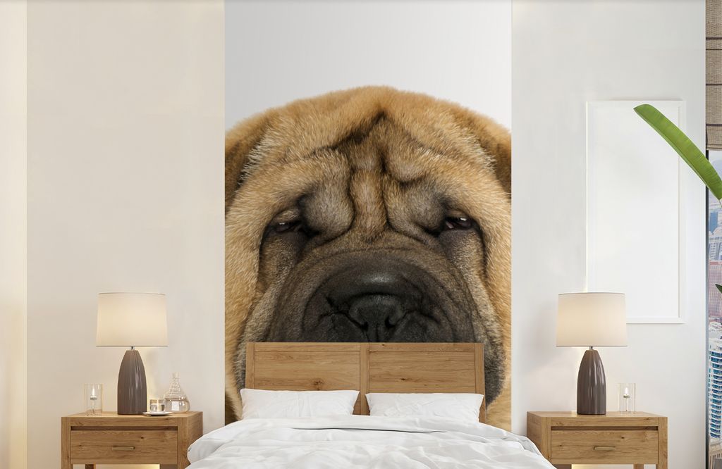 MuchoWow Fototapete für Wohnzimmer oder Schlafzimmer Wandtapete Vinyl Motivtapete Hund - Jungen - Sharpei - Haustiere - Mädchen - Kinder - 120x...