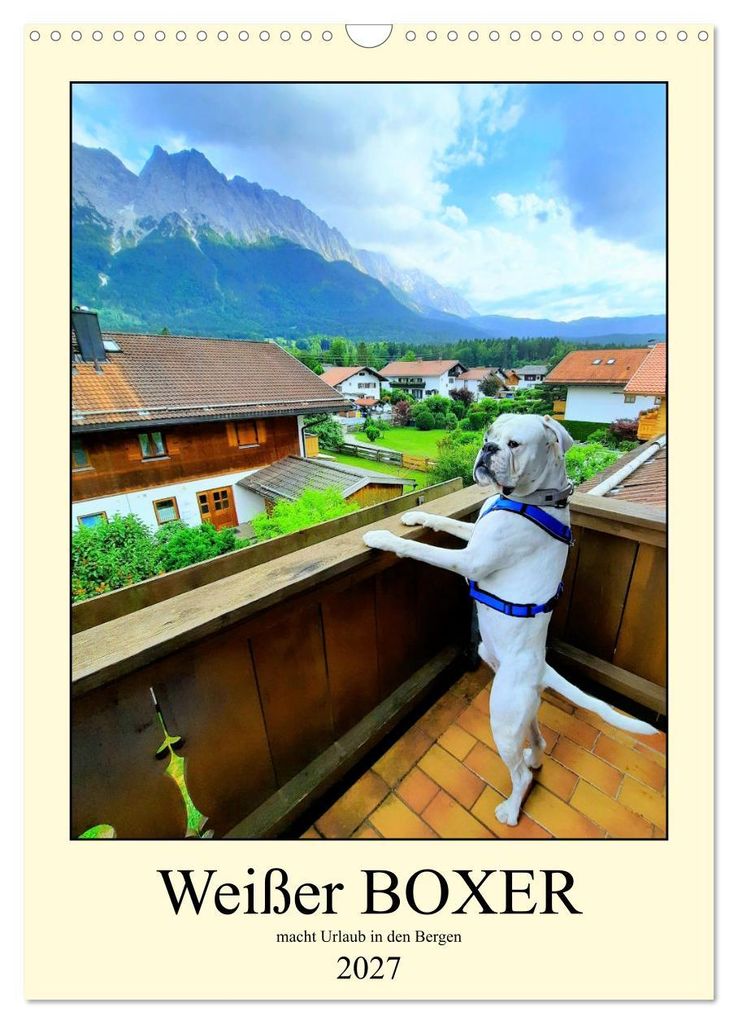 Weißer BOXER im Urlaub (Wandkalender 2027 DIN A3 hoch), CALVENDO Monatskalender