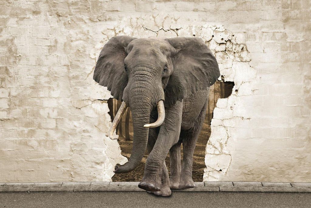 Digitaldruck-Tapete ElephantBreak livingwalls (1034303)