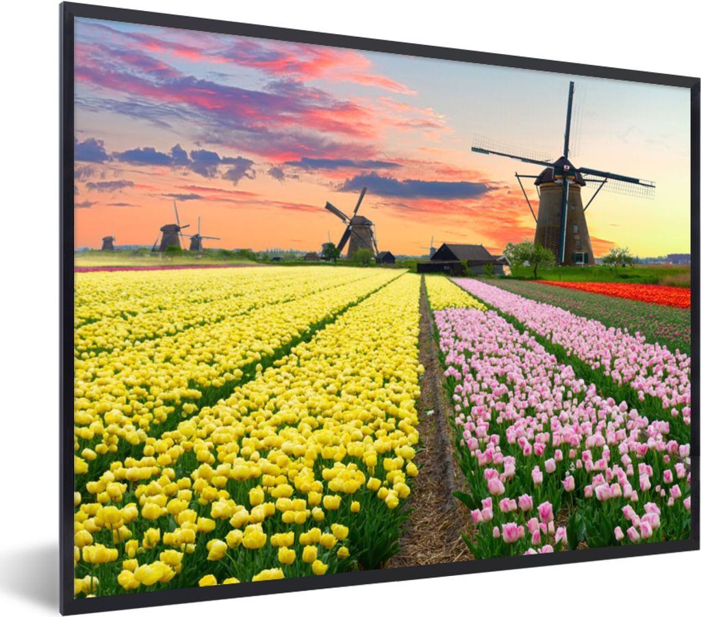 MuchoWow Gerahmtes Poster Windmühle - Tulpen - Blumen - Niederlande 40x30 cm - Poster mit Schwarzem Bilderrahmen Wandposter Rahmen Foto Bilder -...