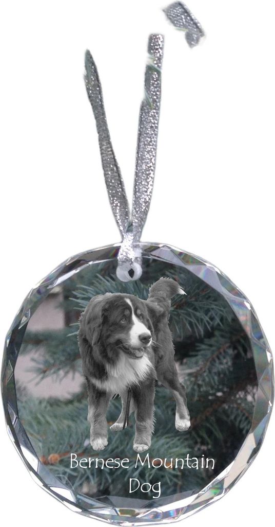 Berner Sennenhund, Dürrbächler, Bouvier bernois - Kristallkugel mit Foto, Hundebild im Kristall, personalisierter Christbaumschmuck von Art-Dog.
