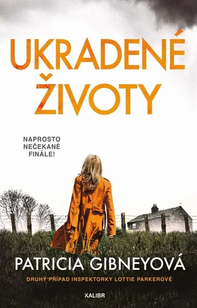 Livre Thriller Ukradené životy de Patricia Gibney Roman Policier Broché