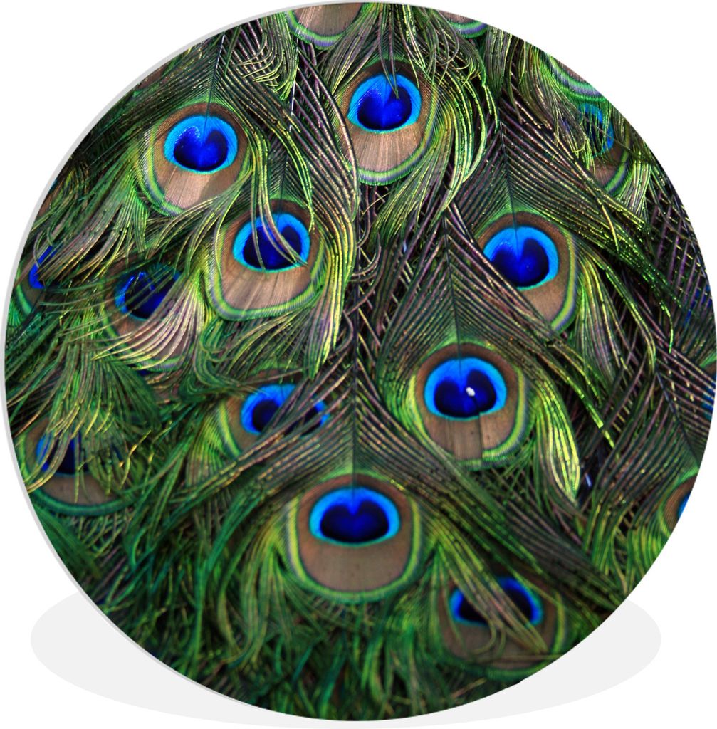 MuchoWow Rundes Wandbild - Runde Bilder Pfau - Federn - Augen - Blau Ø 30 cm Kreis Wanddekoration Kunststoff - Wandkreis - Wandschmuck - Schlafz...