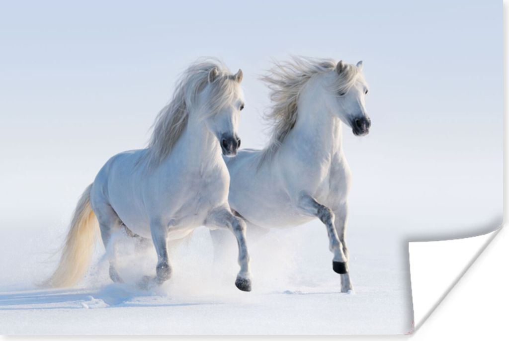 MuchoWow Poster Winter - Pferde - Schnee 60x40 cm - Schlafzimmerdekoration