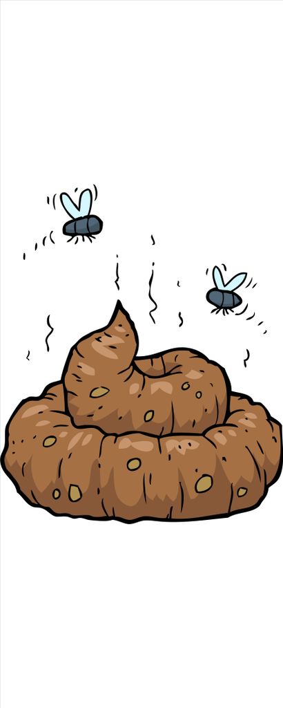 Wallario selbstklebendes Poster - Comic Scheißhaufen mit Fliegen, Größe: 80 x 200 cm