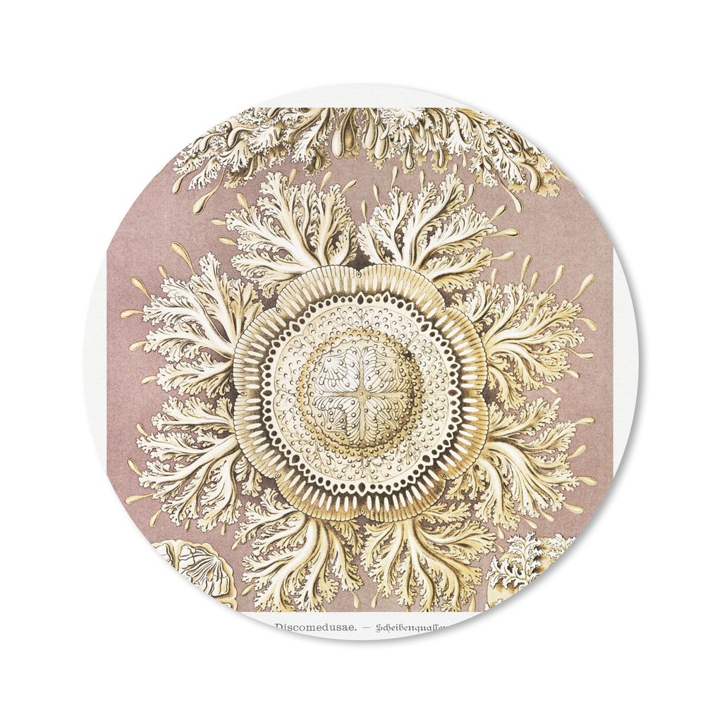 MuchoWow Mauspad Mousepad Jahrgang - Ernst Haeckel - Qualle - Kunst 50x50 cm - Mousepads - Maus Mat - Pad - Mausunterlage - Vinyl