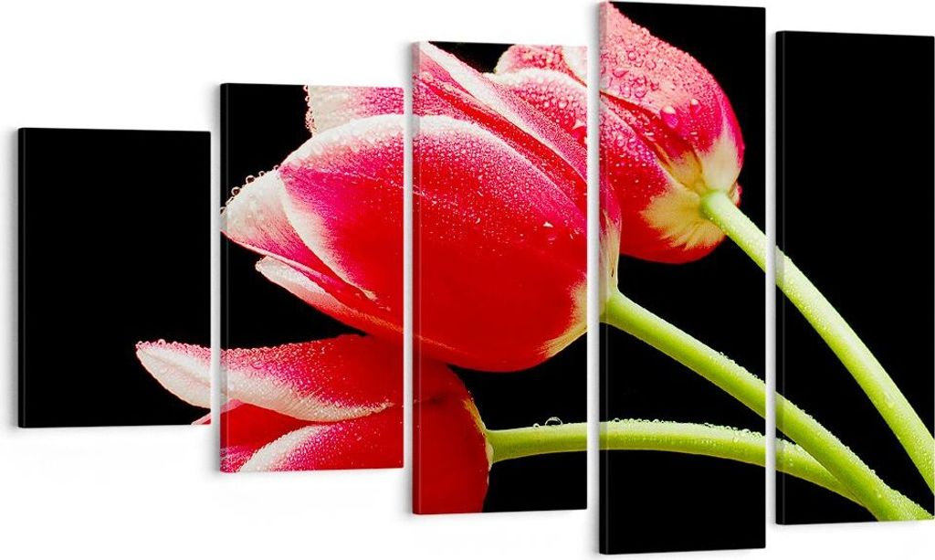 Bild auf Leinwand - Leinwandbild - Tulpe garten blume blumenstrauß - 100x60cm - Wand Bild - Wanddeko - Leinwanddruck - Bilder - Kunstdruck - Leinw...