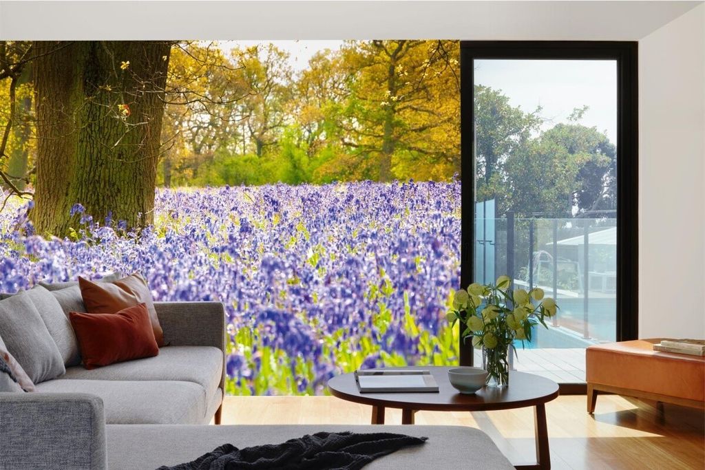 Vlies Fototapete GLOCKENBLUMEN IM WALD 375 x 250 cm (inkl. Kleister) - Vlies Tapete, Wandtapete, Wandbilder - Tapete für Wohnzimmer Schlafzimmer, ...