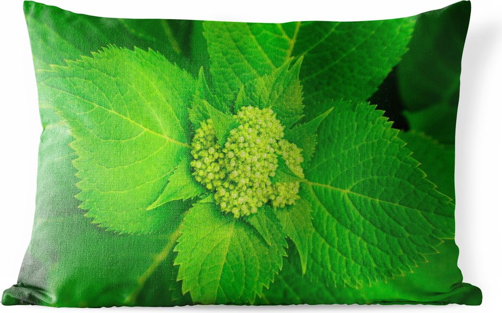 MuchoWow Outdoor Kissen - Foto der botanischen Hortensienpflanze - 50x30 cm - Wetterfest - Lounge Kissen - Sofa kissen - Wohnzimmer Dekoration