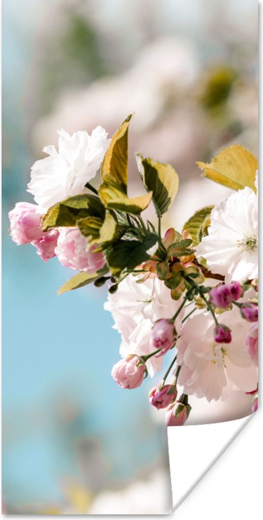 MuchoWow Poster Blumen - Blüte - Frühling 20x40 cm - Plakat - Foto